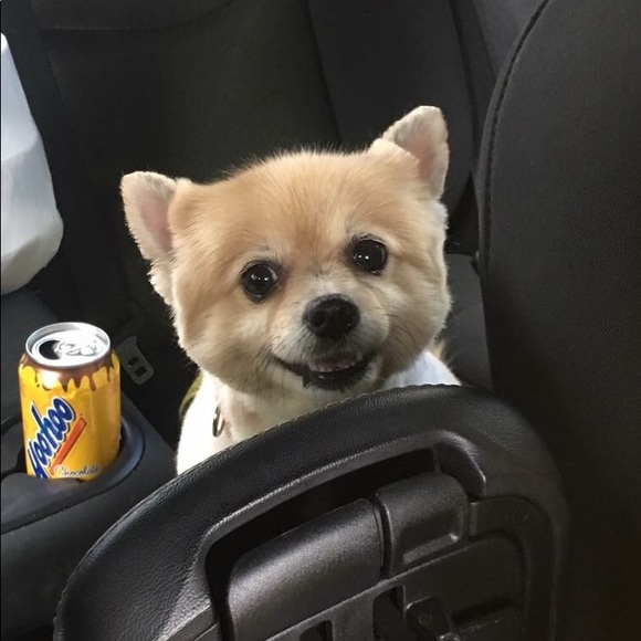 Meet your Posher, Lisa - Picture 3 of 8